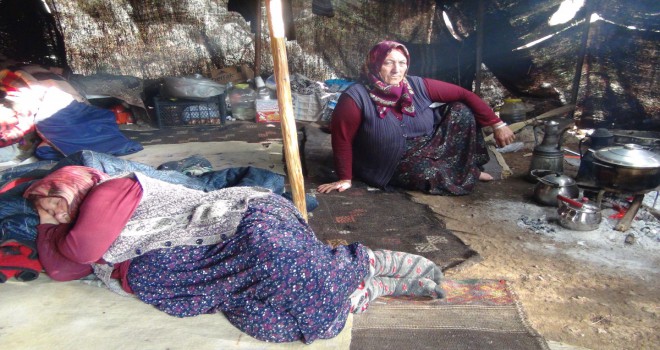 Müslüme'nin yaşadığı kıl çadırı anneanne ve babaanne bekliyor