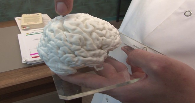 Türkiye'de bir ilk: 3D yazıcı ile insan beyninin birebir kopyası yapıldı