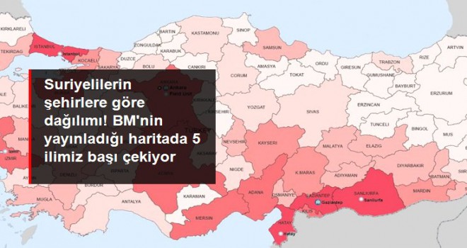 Türkiye'de Suriyelilerin şehirlere göre dağılımı! BM'nin yayınladığı haritada 5 ilimiz başı çekiyor