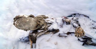 Kimlikleri belli oldu!