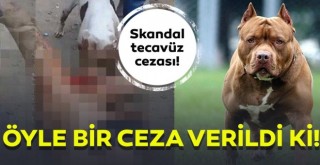 Meksika’da kan donduran tecavüz cezası! “Beni bırakın” diye yalvardı..