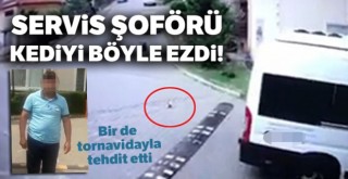 Servis şoförünün yavru kediyi ezme anı kamerada