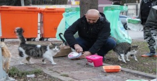 Mesaiden çıkıyor sokak hayvanlarına koşuyor