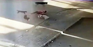 Saldırıya uğrayan köpeğini kurtarmak için köpeklerin arasına böyle daldı