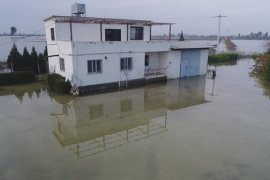  Adana ve Hatay'da tarım arazileri sular altında