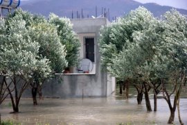  Adana ve Hatay'da tarım arazileri sular altında