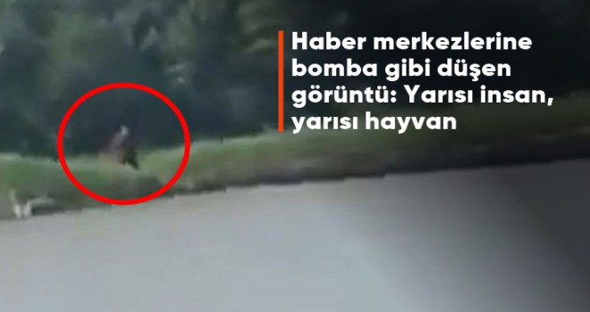 Yakından gördüm, sadece yarısı insandı