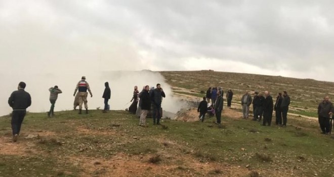  Eşeğin peşinden giden koyunlar telef oldu