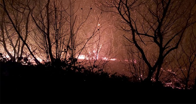 'Karadeniz'deki yangınlarda sabotaj bulgusu yok'