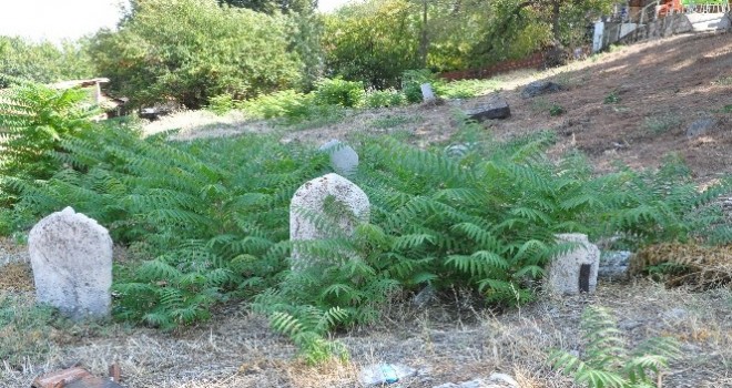 Tarihi mezarlığa Manisa ,Büyükşehir sahip çıkacak