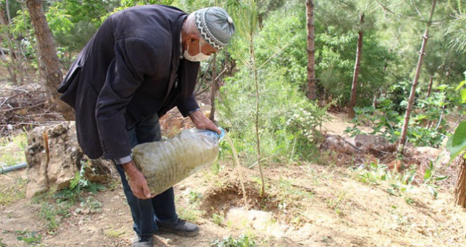 Çöplüğü ormana çevirdi, diktiği ağaçlara gözü gibi bakıyor