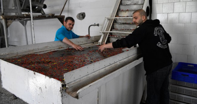 Yeniden üretime geçen fabrika yöre halkının yüzünü güldürdü