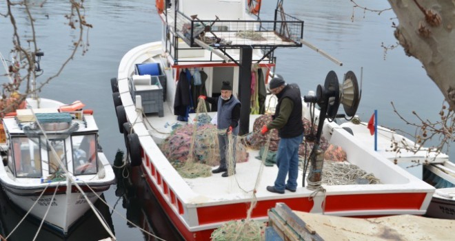 Marmara'da balıkçıların korkulu rüyası 10 yıl sonra geri döndü