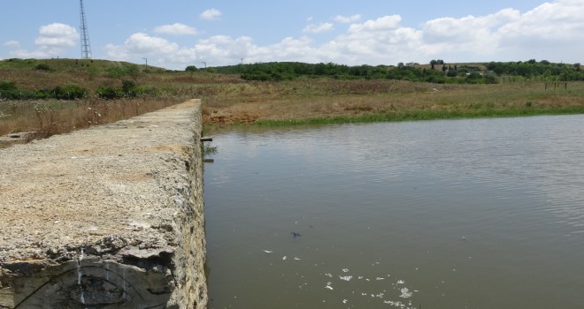 Ölen balıklar iş makineleriyle toprağa gömülüyor