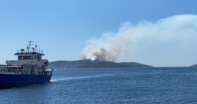 İstanbul Heybeliada'da çıkan yangın kontrol altına alındı