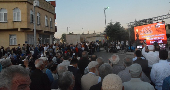  'Işık Hadisesi'ni izlemek için akın ettiler