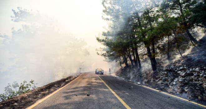 Marmaris'te alevler bir anda yükseldi! Ağaçlar alev topuna döndü