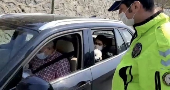 Köpeğini ameliyata götüren çiftle polisin diyaloğu dikkat çekti