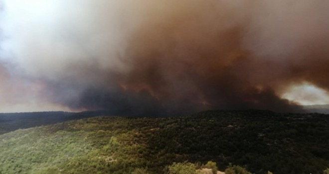Antalya'daki orman yangını büyüyor! Rüzgar müdahaleyi zorlaştırıyor