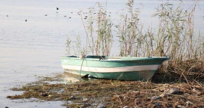 Çanlar Sapanca Gölü için çalıyor, su seviyesi kritik noktada