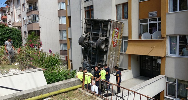 Gürültüyle sokağa koştular, gördükleri manzara şaşkına çevirdi