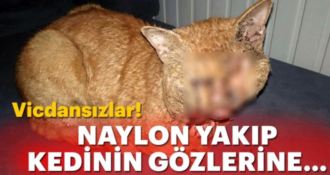  Bunlar insan olamaz! Naylon yakıp gözlerine damlattılar...