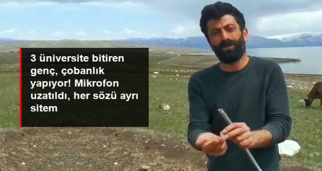 3 üniversite bitiren genç çobanlık yapıyor! Mikrofon uzatıldı, her sözü ayrı sitem