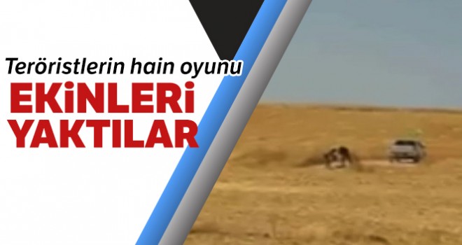 Halkın ekinlerini yakma anı görüntülendi