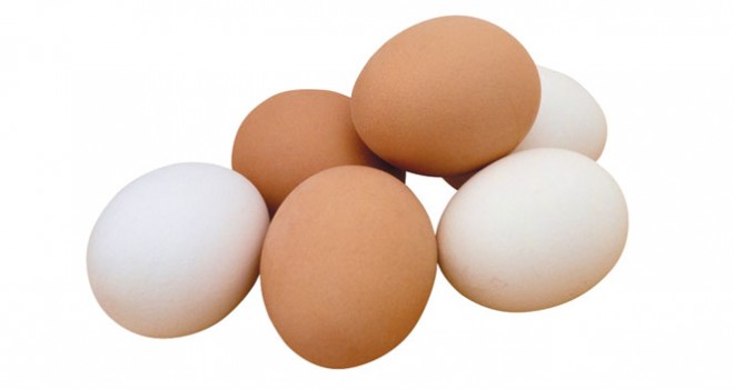 Tavuk yumurtası üretimi yüzde 5,5 azaldı