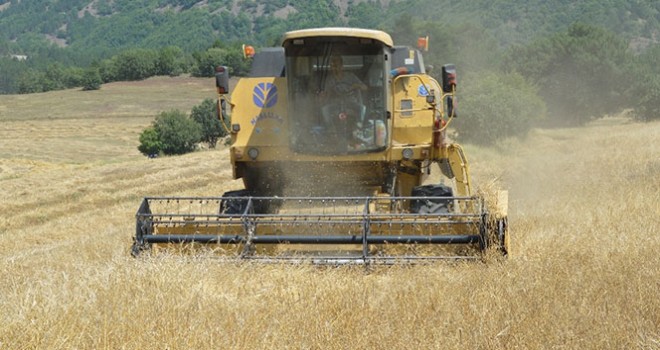 Ticaret Bakanlığı ,un ihracatına sınırlama getirdi