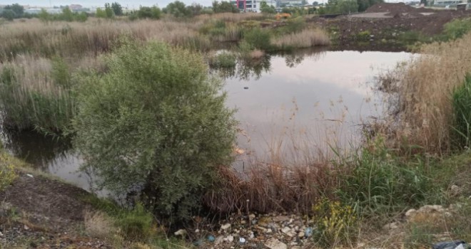 Ankara'da tabelaya çarpan otomobil dereye uçtu: 3 ölü, 1 yaralı