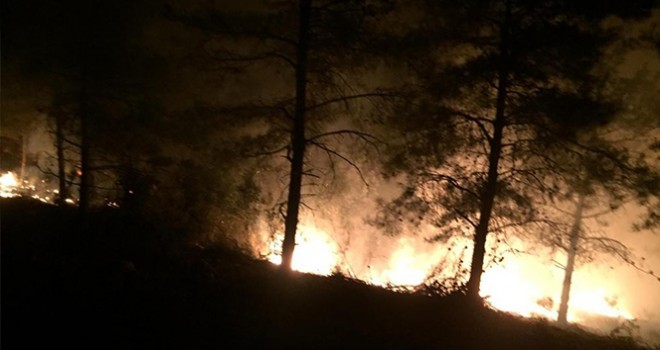 Hatay'da orman yangını