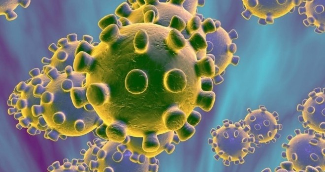 Bakanlık duyurdu: Korona virüs test sonuçları e-Nabız uygulamasında