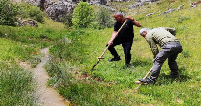 Salep soğanı toplayana ceza...