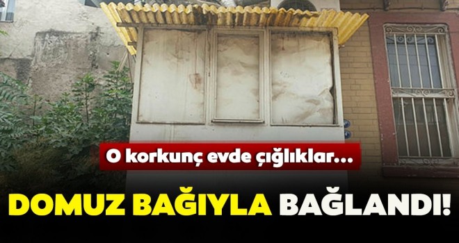 Domuz bağıyla bağlanan kadından son dakika haberi geldi! Çığlık sesleri duyuldu...