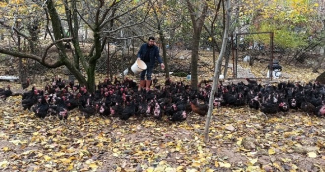  İş bulamayınca kendi işini kurdu! Siparişlere yetişemiyor!