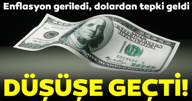  Dolar/TL 