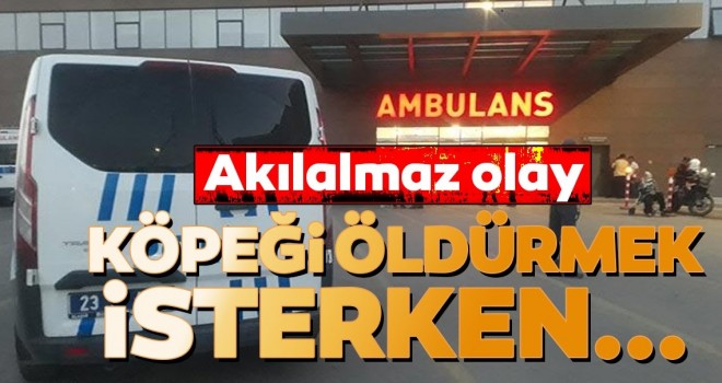  Akılalmaz olay... Köpeği öldürmek isterken...