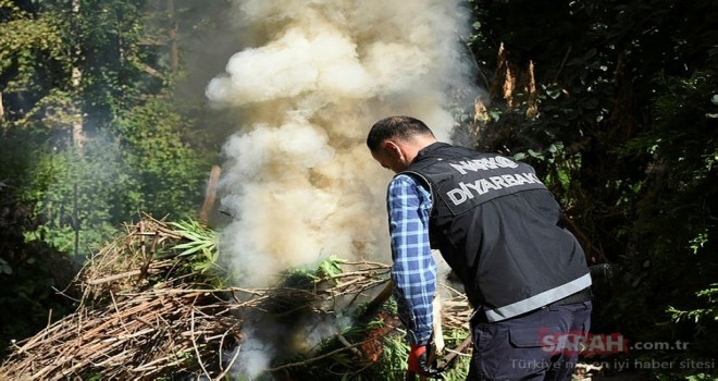  Polis görünce şoke oldu!