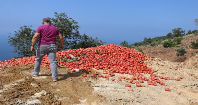 Çöpe dökülen sebzeler sosyal medyayı ayağa kaldırdı!