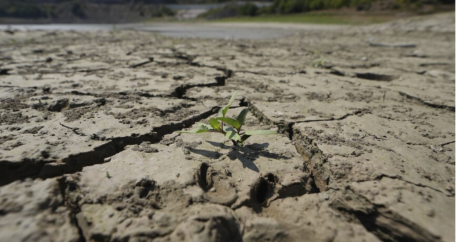 Kuraklığın gölgesinde tarım