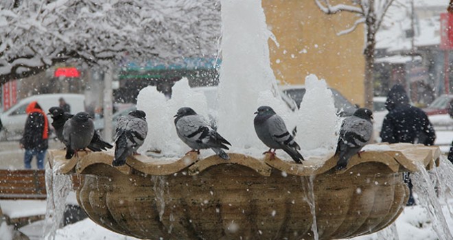  Doğu'da soğuk hava: Göle eksi 40