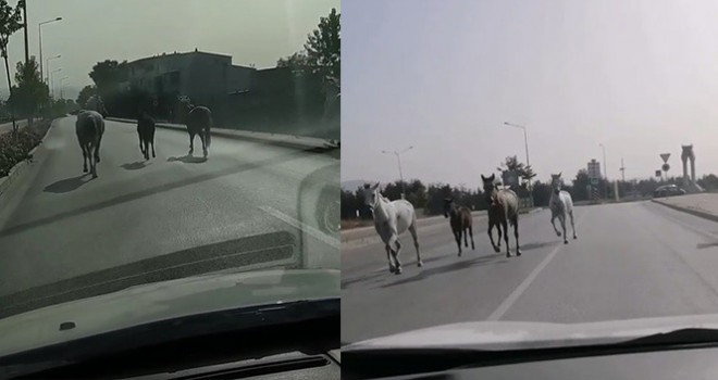 Veliefendi değil Bursa caddeleri