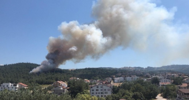 Bursa'da çıkan yangın villalara sıçradı
