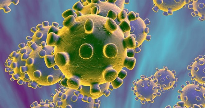 ABD'de korona virüs salgını nedeniyle ölü sayısı bin 711'e yükseldi