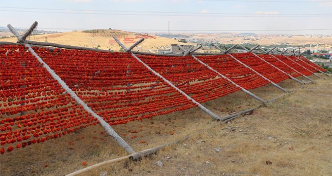 Gastronomi kenti Gaziantep kırmızıya boyandı