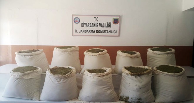Diyarbakır'da 284 kilo esrar ve 2 bin kök kenevir ele geçirildi