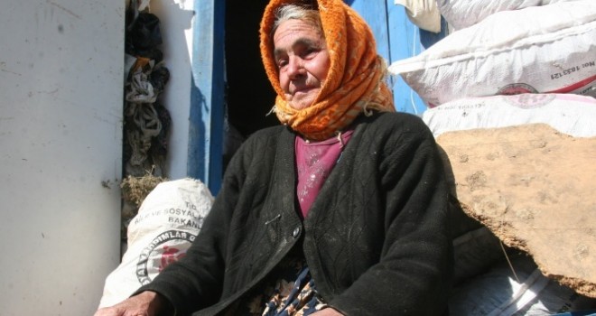 Telef olan ineğinin başında feryat eden kadın ‘acı ve çaresizliğin' yüzü oldu