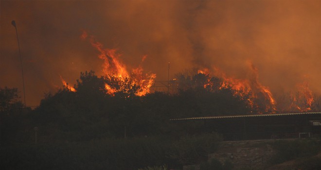 Yangınlarda son durum: 161'i kontrol altında, 13 yangın devam ediyor