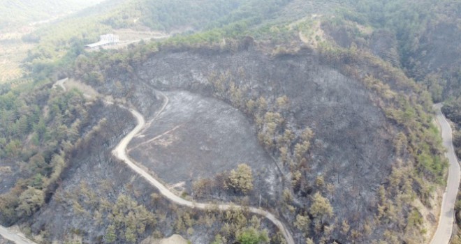 Hatay'daki orman yangınında 300 hektar alan zarar gördü